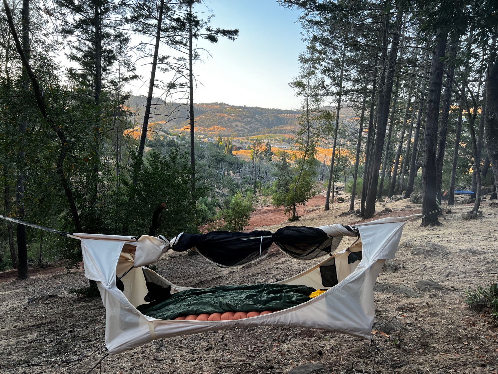 Hammock among the trees at Fable Sonoma