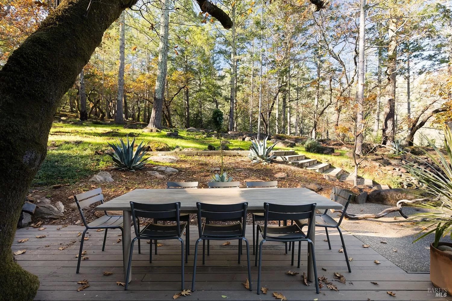 Outdoor dining area at Fable Sonoma